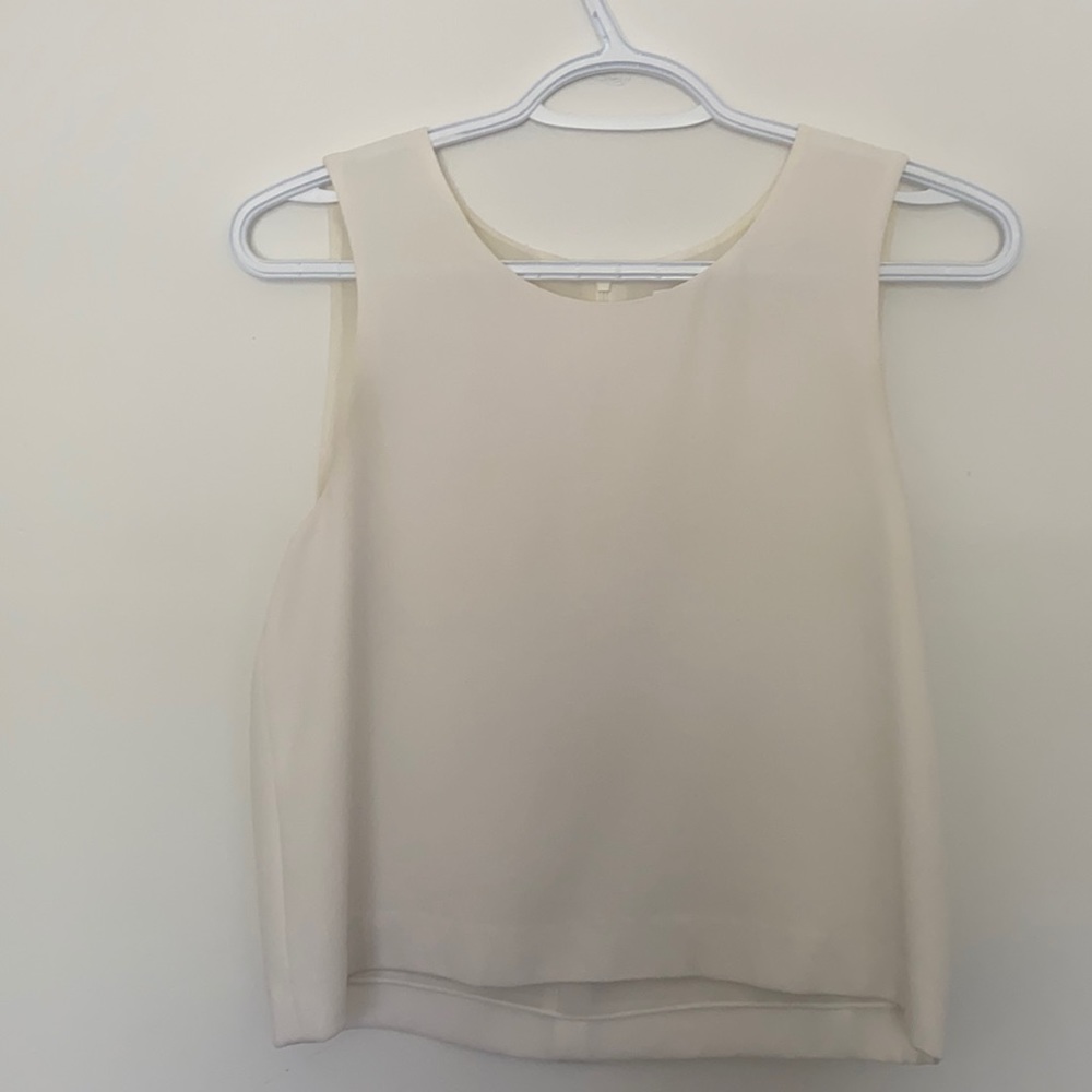 Club Monaco cropped top